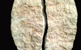 Un abbraccio, marmo Botticino, h 50 cm 2015 (retro, naturale grezzo)