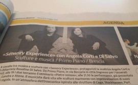 Articolo Giornale di Brescia